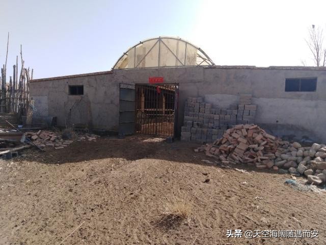 养殖大棚用的保温隔热材料,养殖大棚墙体用什么材料做最便宜