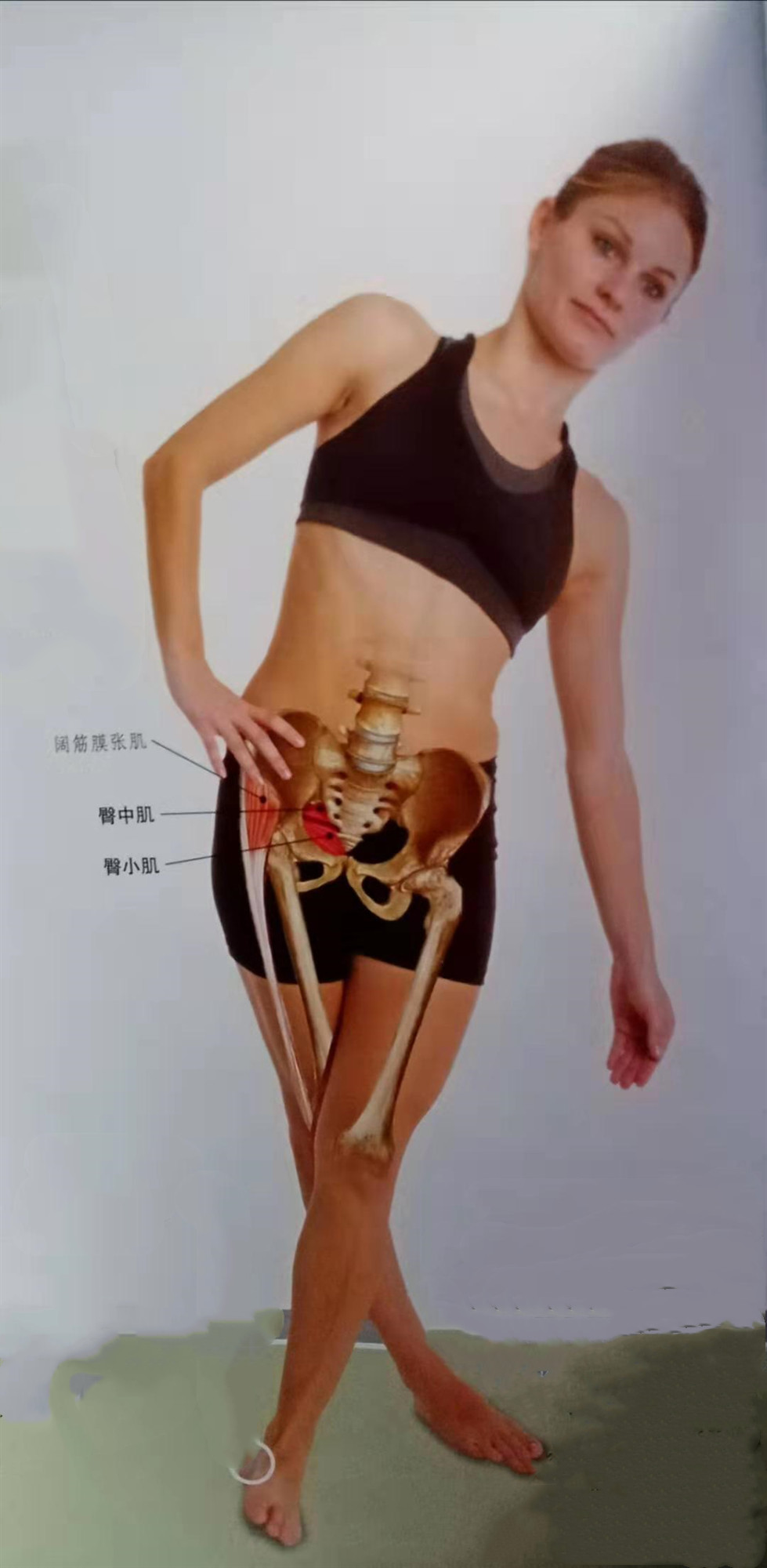 长期久坐腰部无力怎么办,久坐久躺低头玩手机做什么锻炼