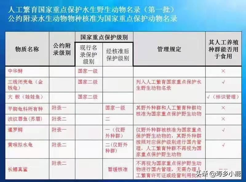 草龟是国家二级保护动物吗,捡到国家二级保护动物龟怎么处理