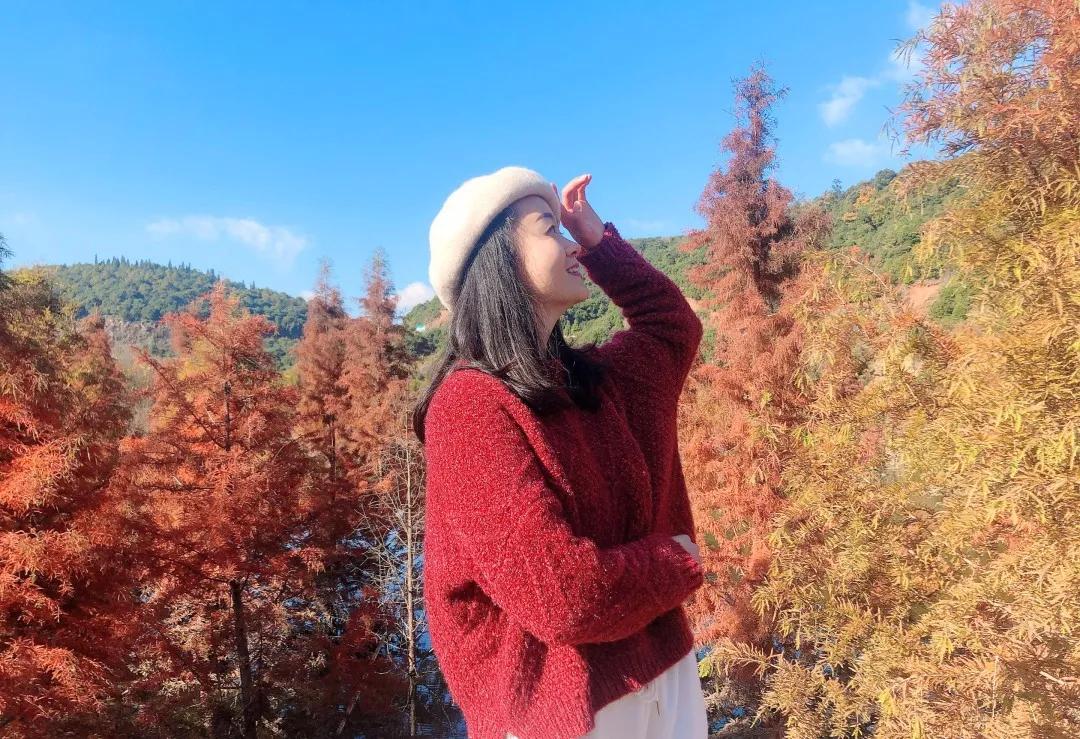 昆明甸尾村的水杉真的太美了,昆明甸尾水杉林网红打卡地