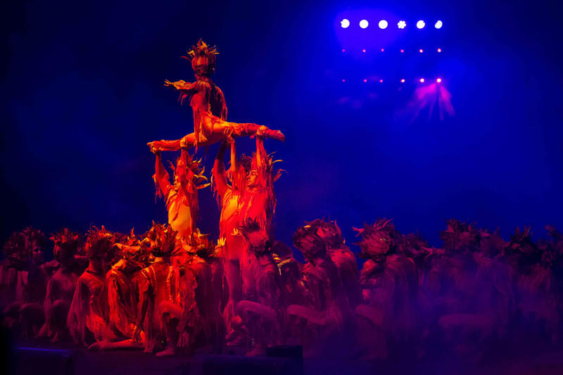 玩转广州长隆野生动物世界之行,广州长隆动物世界游玩攻略图