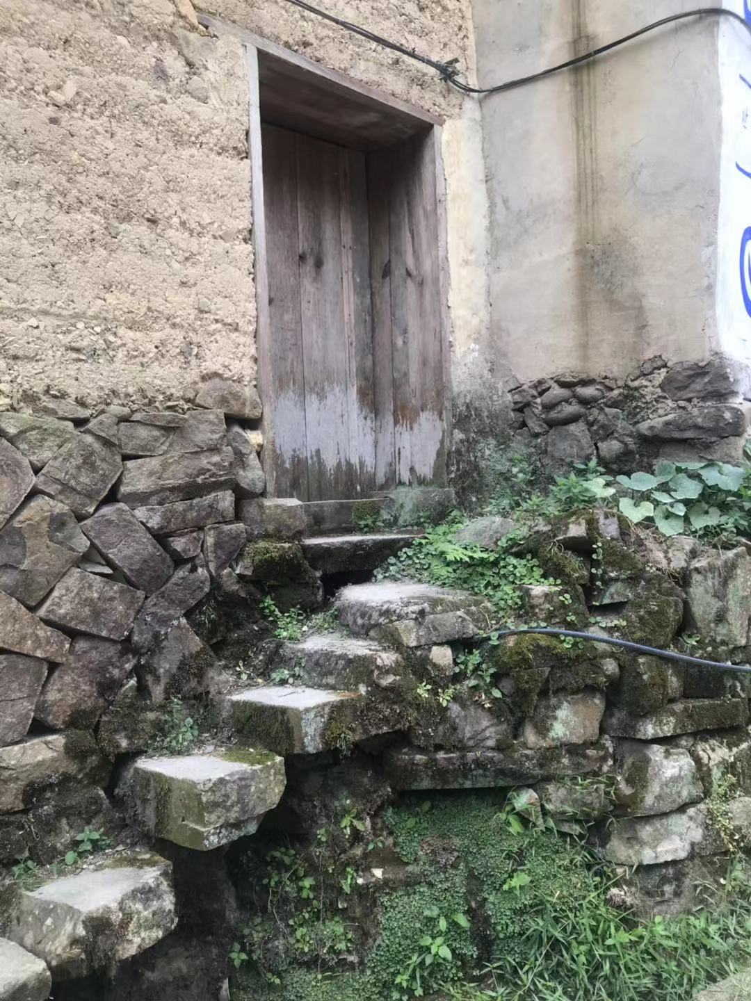 丹溪红曲酒由来,红曲造酒