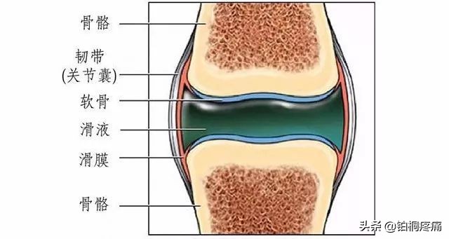 老年人膝盖水肿痛的三大病因,左脚膝盖后面酸痛是什么病因