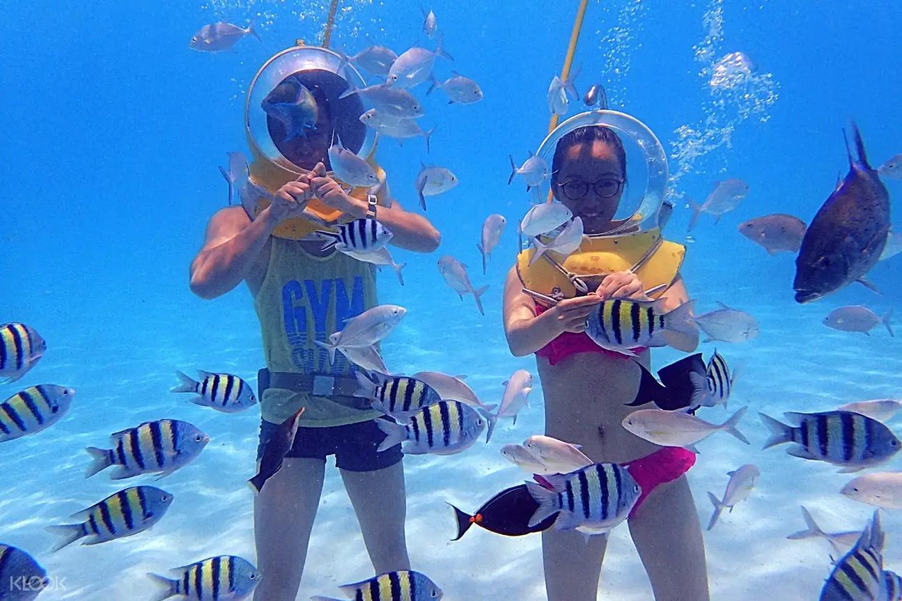 美国免签海岛旅游,美国唯一免签海岛是什么