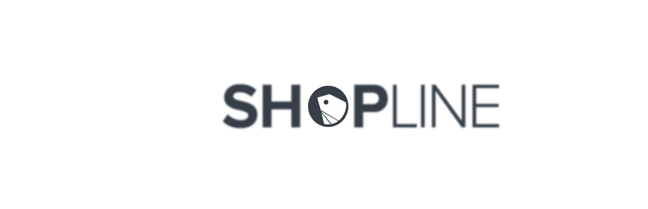 shopline独立站 (shopline独立站如何推广)