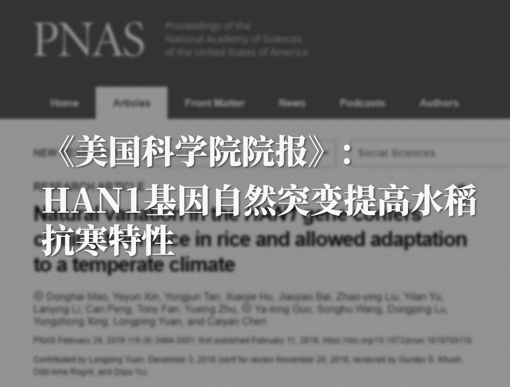 极寒天气农业应对措施,极寒天气对农业危机的影响