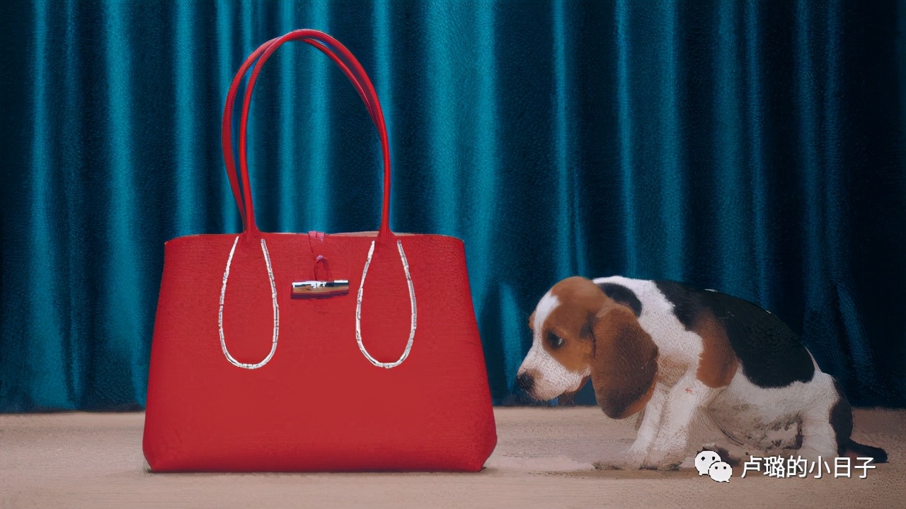 最有权势的德国总理天天背的千元包，这个法国的品牌到底多好用