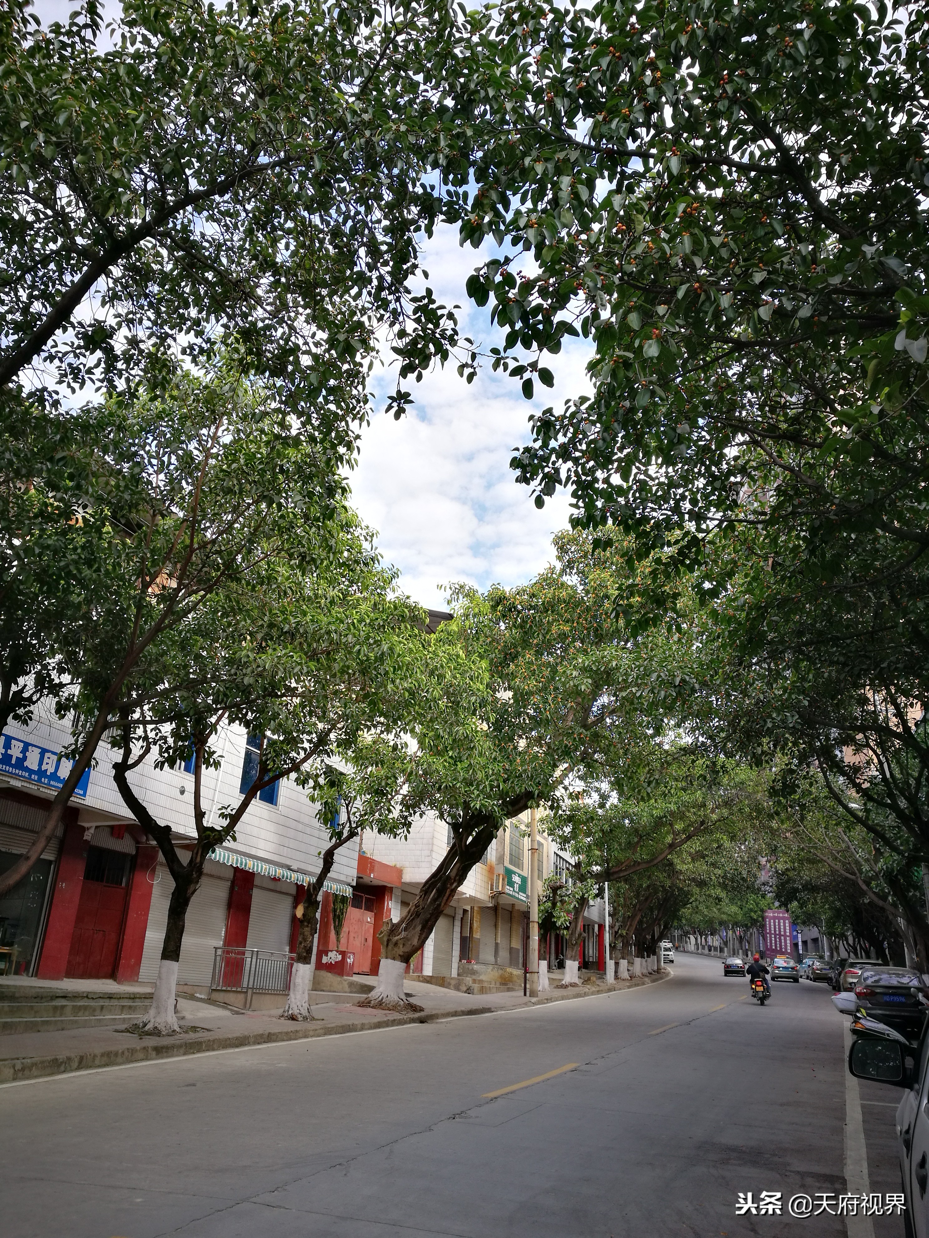 攀枝花盐边县新县城全景,攀枝花盐边县风景区