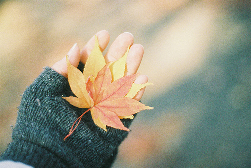 胡适友情,胡适先生的感情之谜