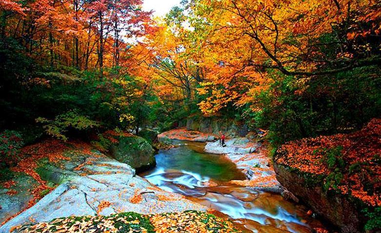 巴中光雾山红叶的最佳时间,红叶谷打卡地