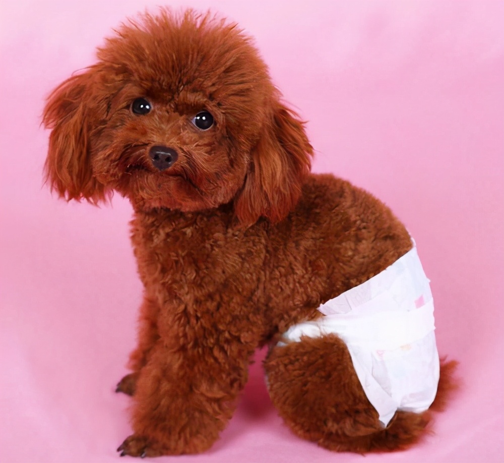 鎴堣禐鐙楃伯鐨勪紭缂虹偣,鎴堣禐