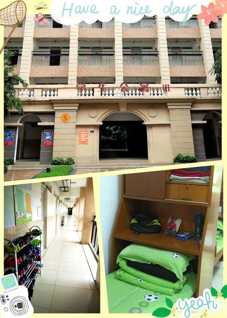 恒大足校夏令营,广州恒大足球夏令营在哪里报名