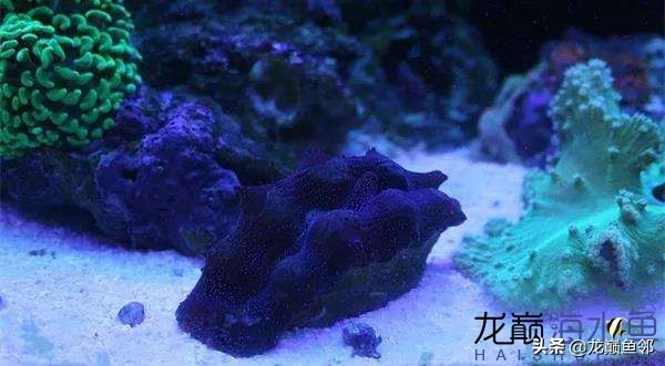 说出来都是泪！只有新下海的人才能体会这种痛，简直是全军覆灭