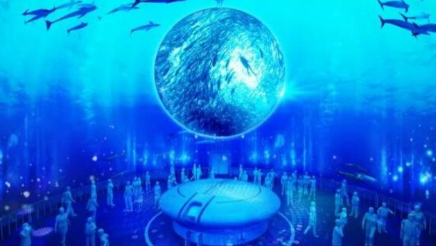 上海海昌海洋公园怎么样啊,上海海昌海洋公园怎么样