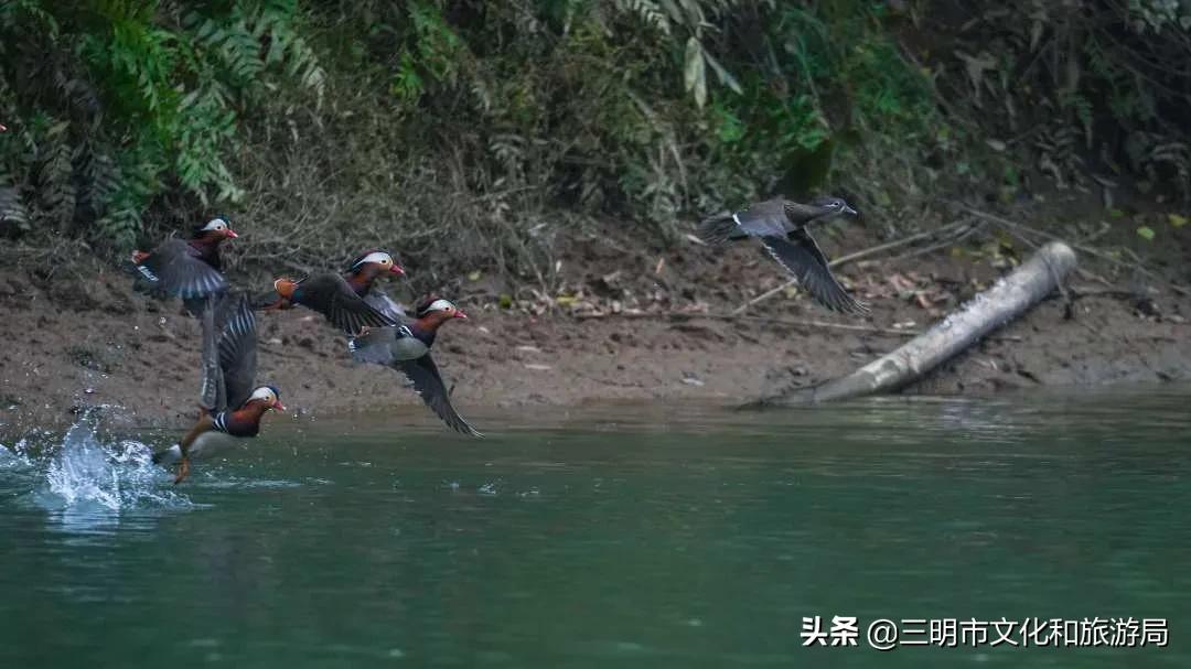 嗨！重新认识一下，我叫建宁！进来为我投票吧！