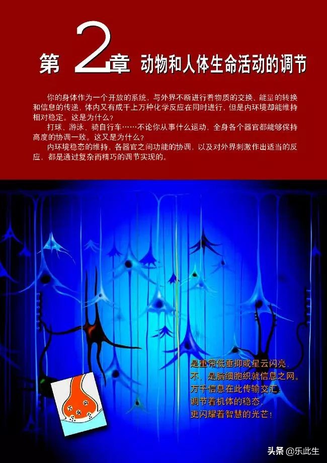 高中生物必修3电子教材,必修三稳态与环境的知识点人教版