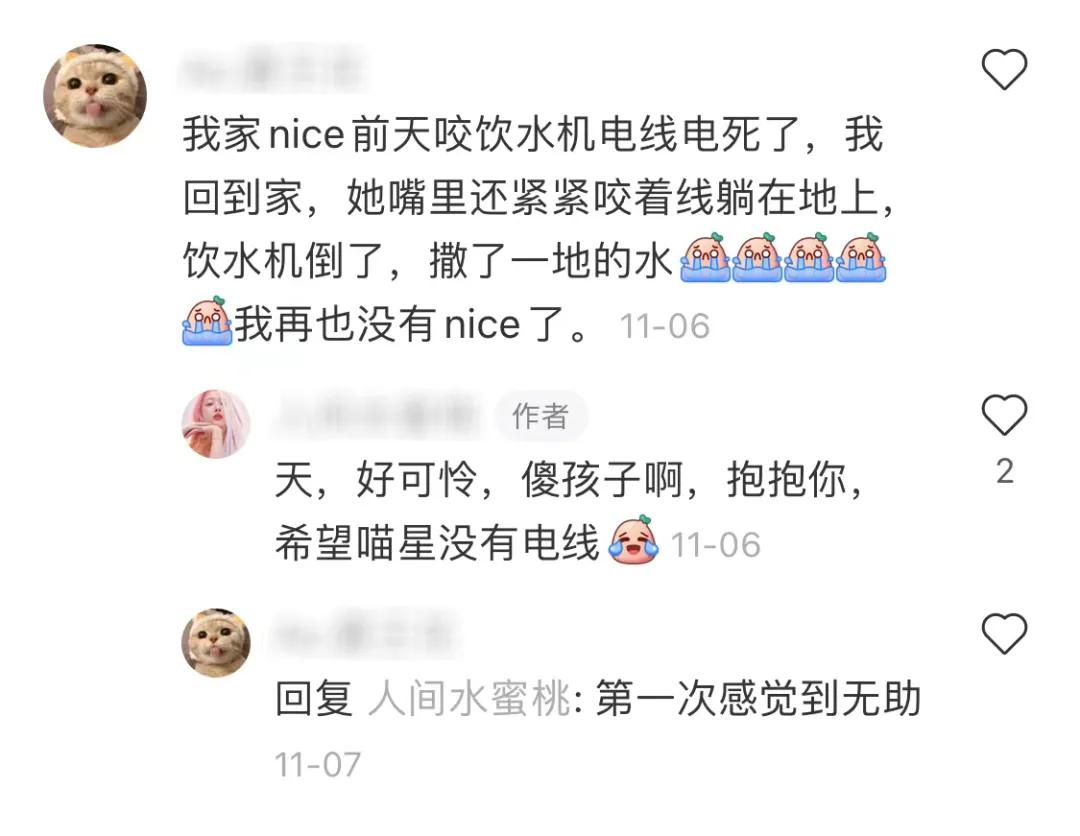 有宠一族必看：啥家庭条件呀，好几万的沙发随便毁？