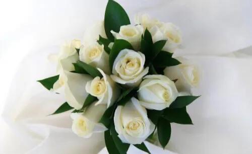 宜昌人被骗20万,上海小区居民被骗48万