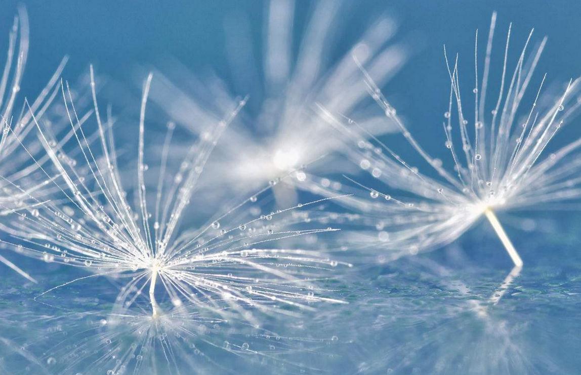 对待聪明人的办法,面对阴险狡猾的人该怎么回避他