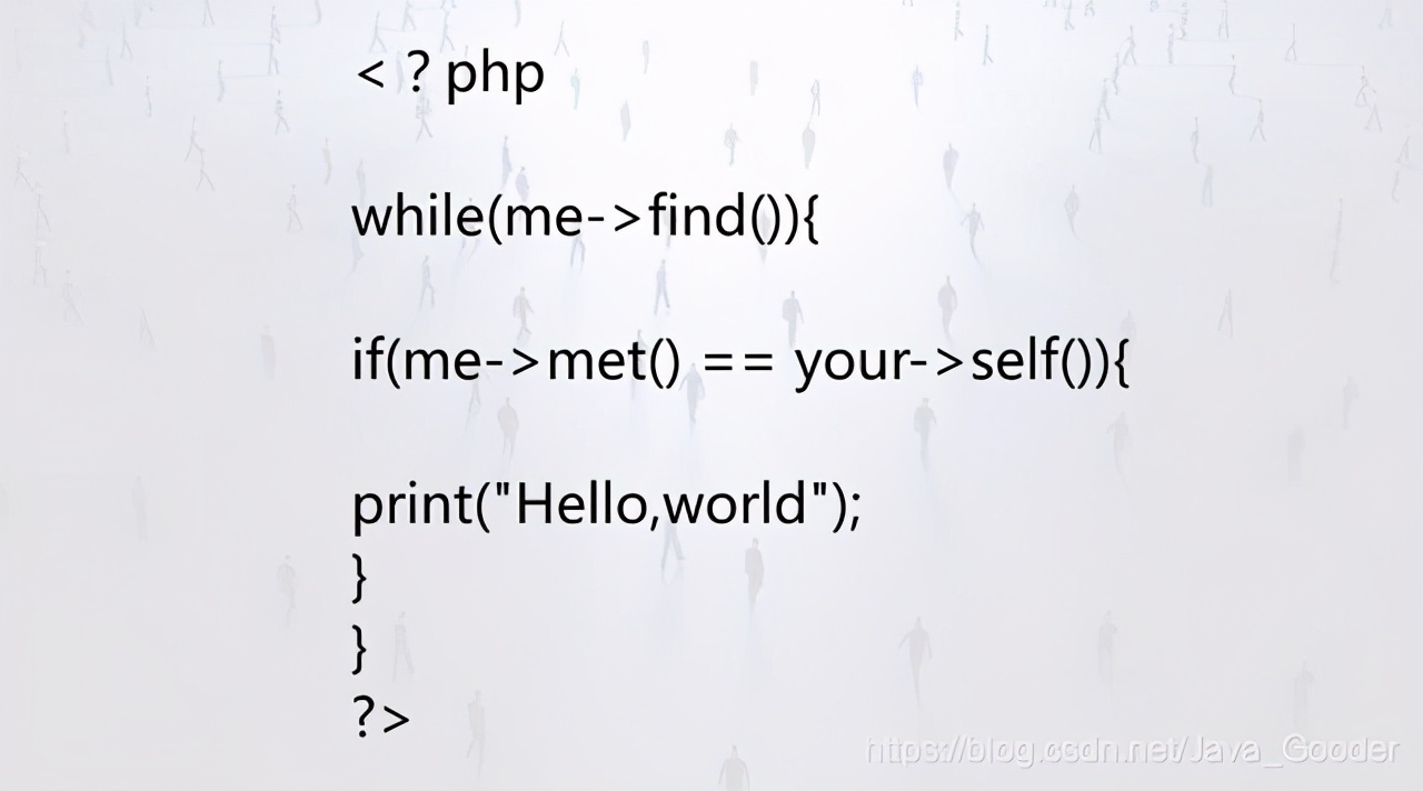 520程序员表白,程序员的520表白