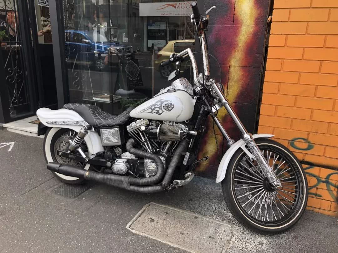 这地方是男人天堂,我们的大宝马也怕了