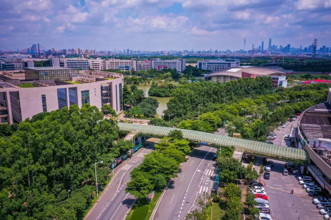 广州大学城占地最大的学校,广州大学城中山大学有多大
