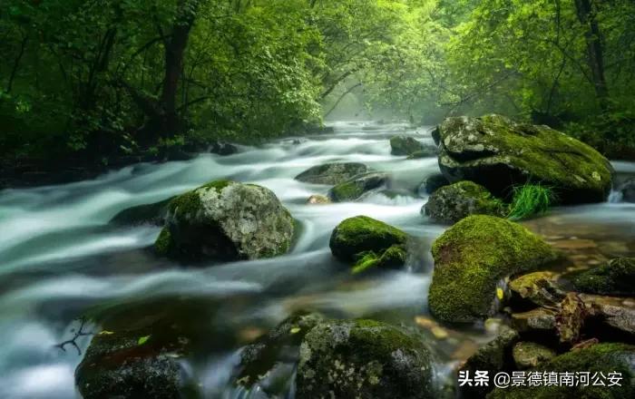 江浙诗友会雅集|三春丽景三春醉，一院清香一院诗