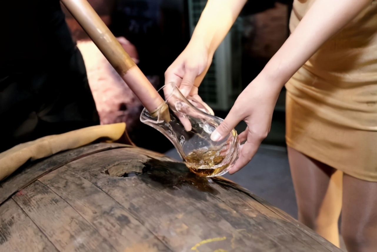 白松黑露，在丽江「上演旷世传奇」