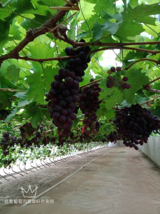 十一天津唐山周边亲子游,五一唐山天津周边游