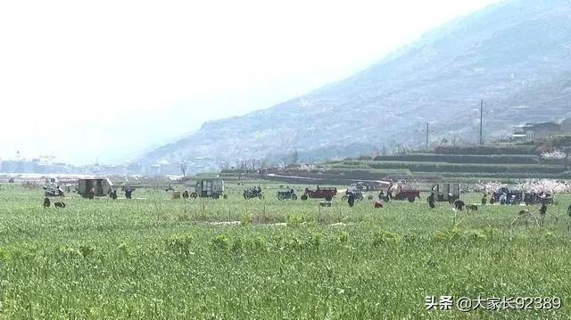 汉源土特产有哪些,汉源才有的美食