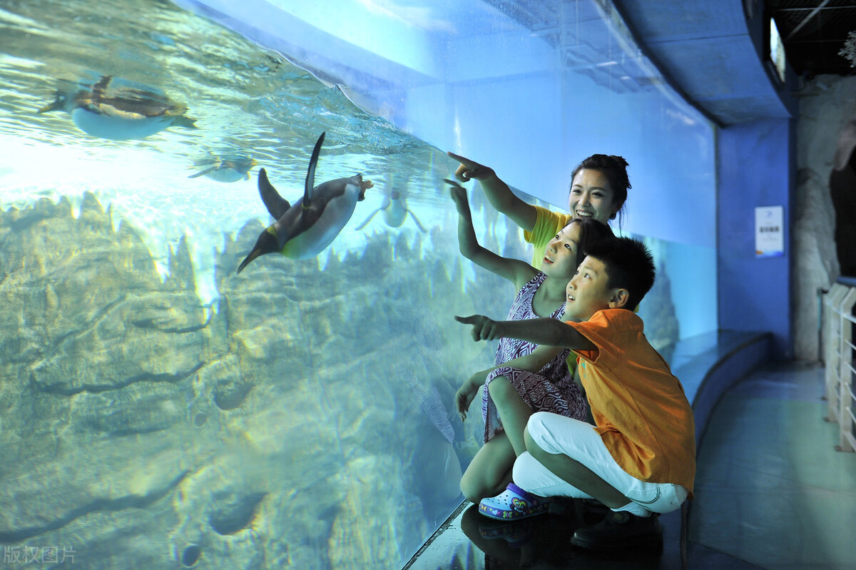 最好玩的游乐园推荐,暑假好玩的游乐园推荐