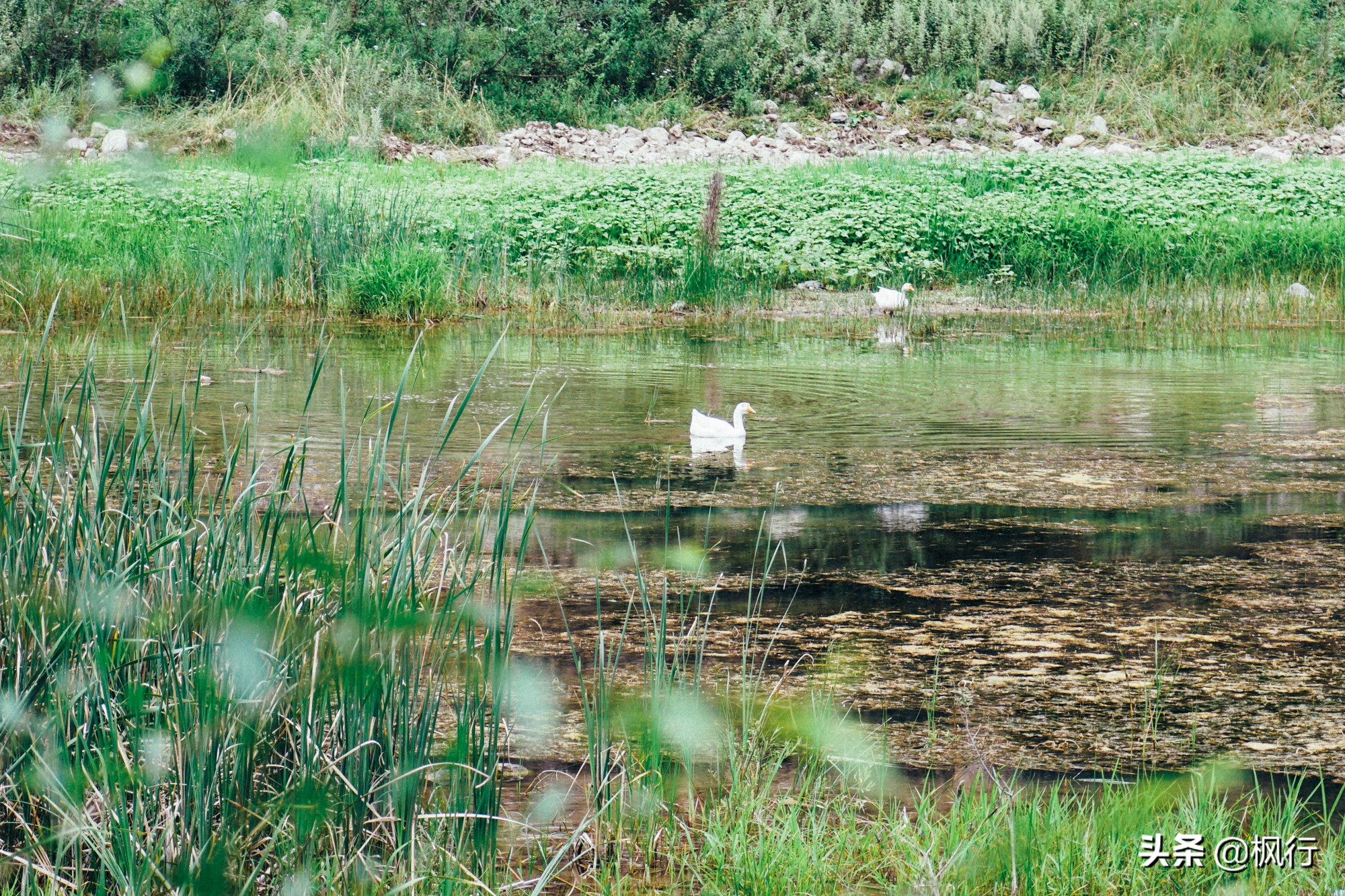 度假不逛景点适合去哪里,度假不必去远方
