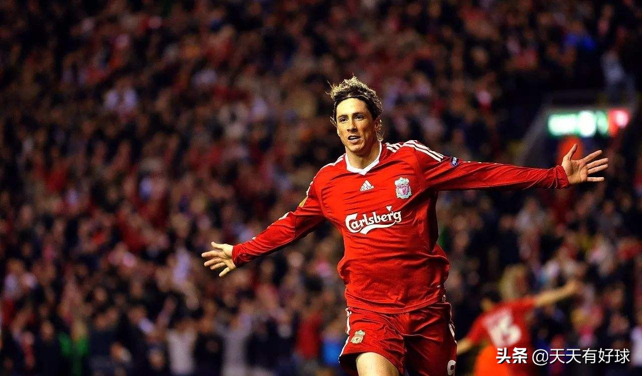 费尔南多托雷斯个人资料,费尔南多托雷斯经典时刻