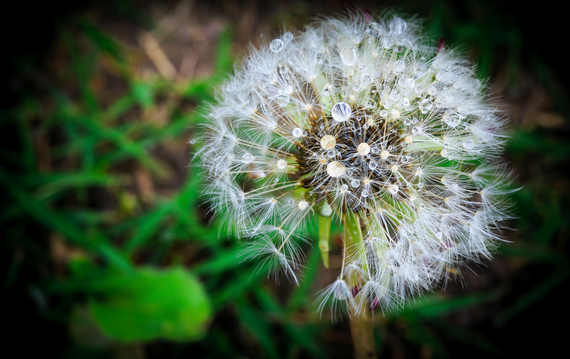 当一个人开始慢慢的疏远你怎么办,有一个人慢慢疏远你了