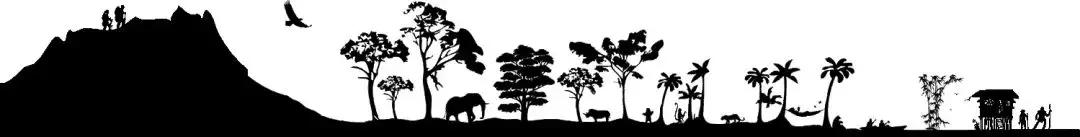 garminfenix6无中文系统,garminfenix6各个版本