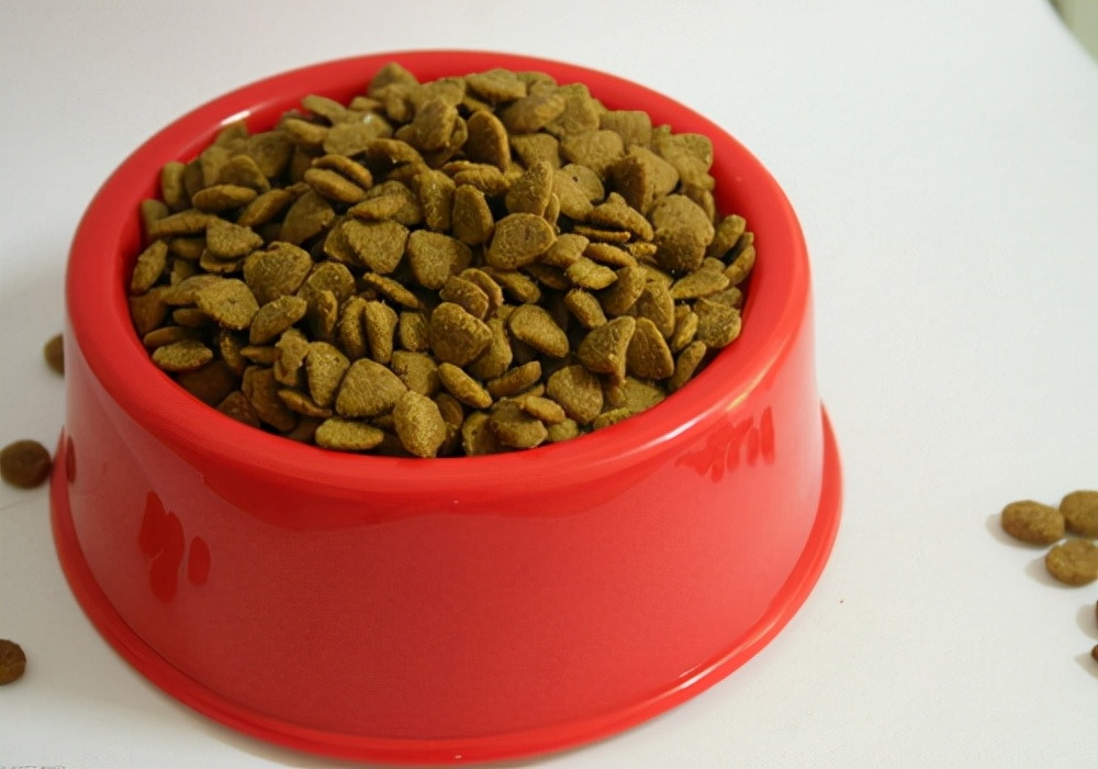 狗狗不停舔地面还呕吐是怎么回事,狗狗呕吐了精神状态不好怎么办