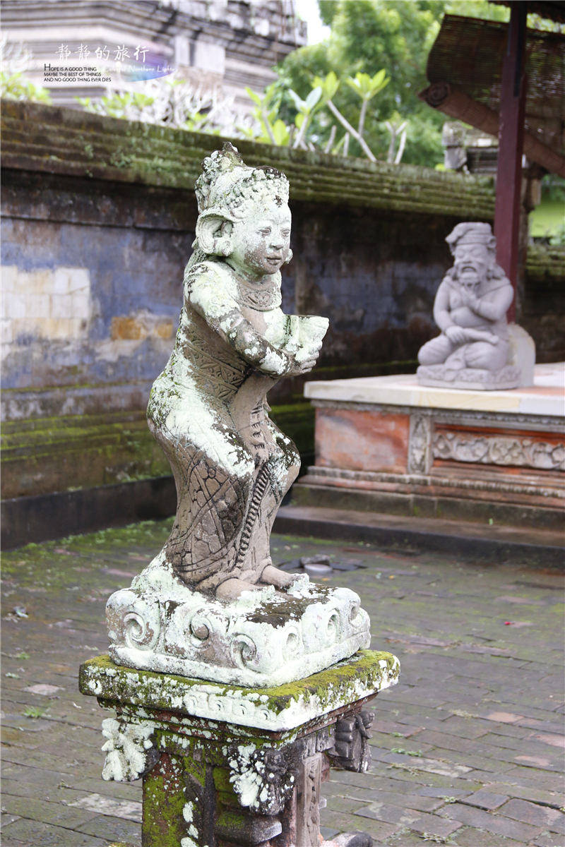 在印尼见识传说中最昂贵的猫屎咖啡