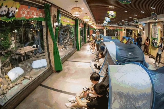 广州长隆儿童欢乐世界春节,广州长隆欢乐世界春游儿童玩什么