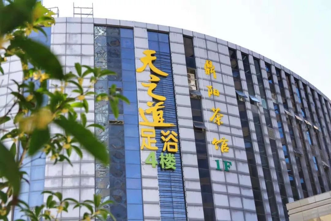 刘念写文章,刘念转气心法