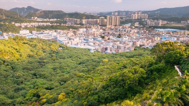东莞三正半山酒店一楼,东莞塘厦三正半山酒店怎么样
