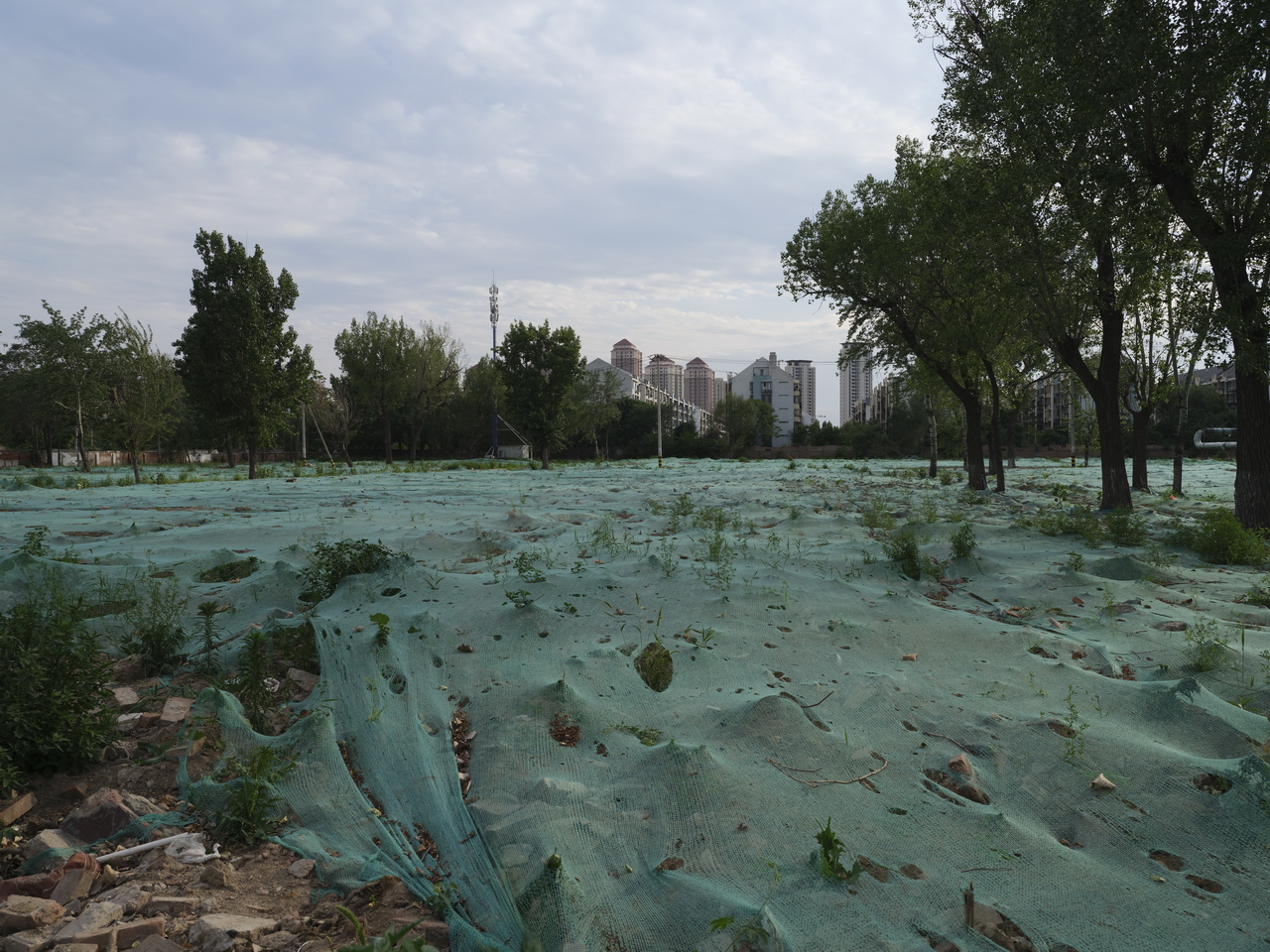 天津动力机厂下岗职工,天津动力机厂在哪