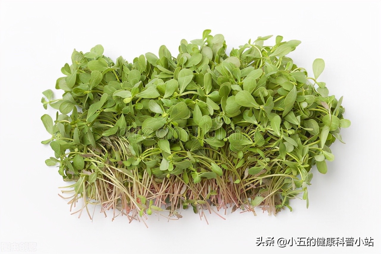 调理前列腺炎的话题,浅谈治疗前列腺炎的药物