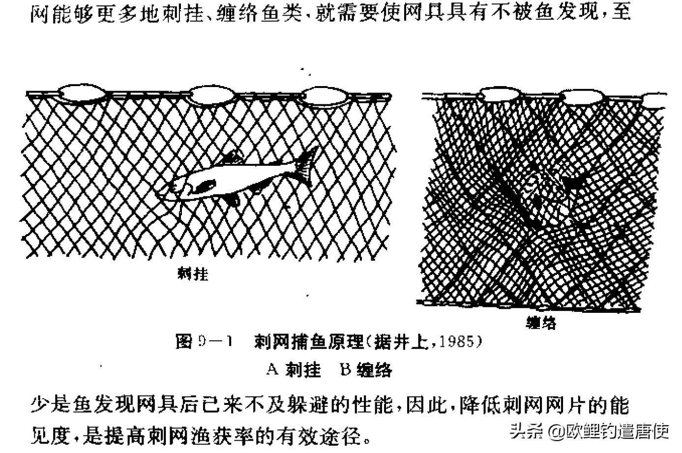 有哪些基础钓法初学者要学会,新手最稳妥的一种钓法