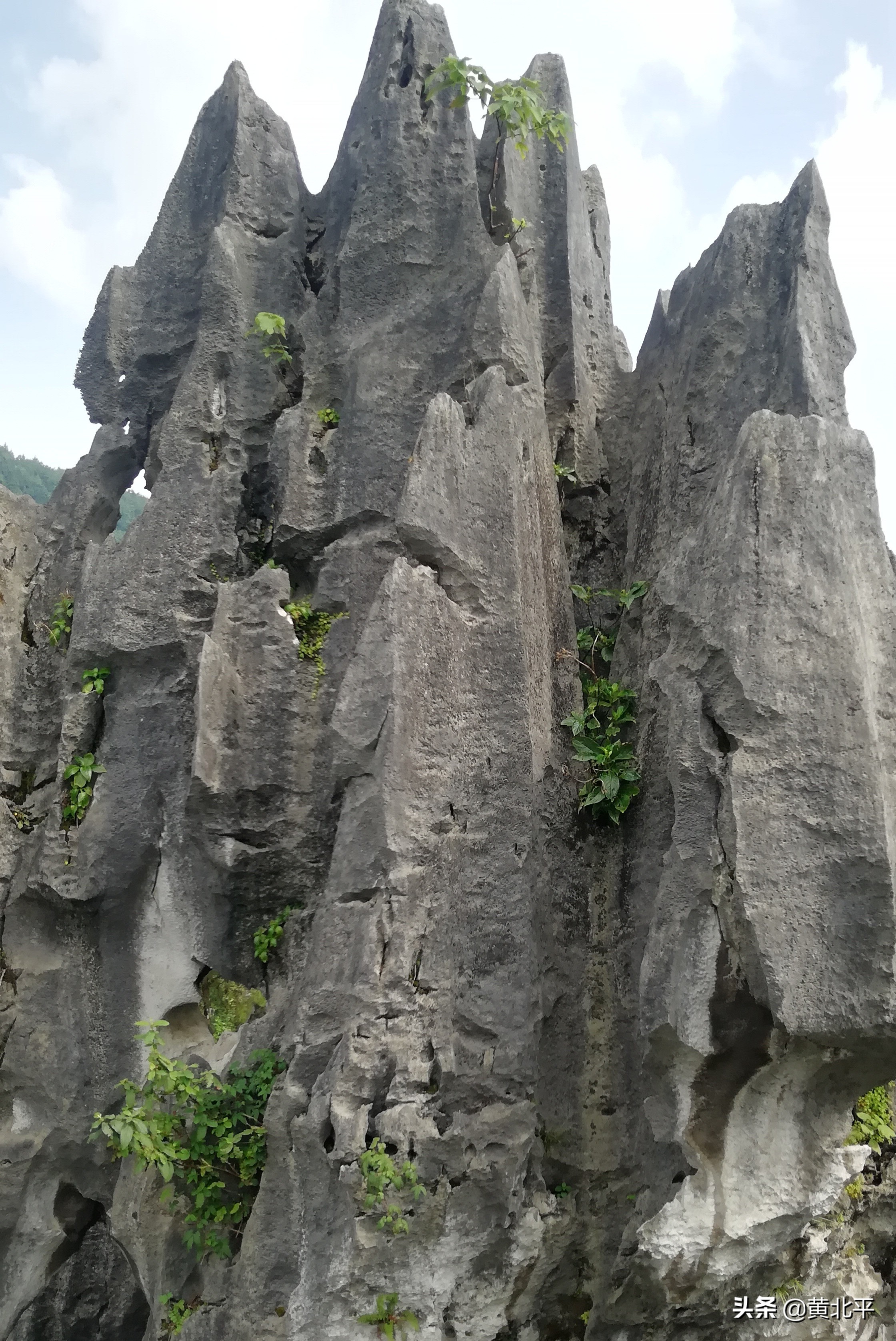 重庆合川三汇石林采风,三汇镇石林
