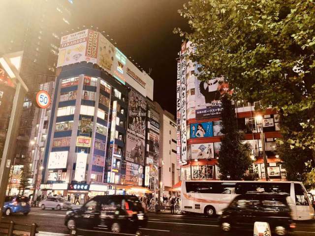 东京到镰仓和箱根攻略,东京箱根富士山镰仓