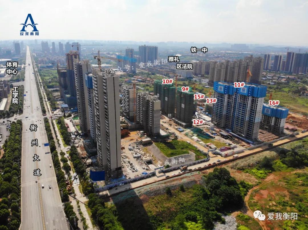 优缺点大评比!酃湖新城10个盘怎么选?