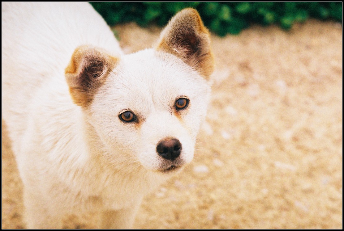 关于二手（这是个沉重而有趣的话题）