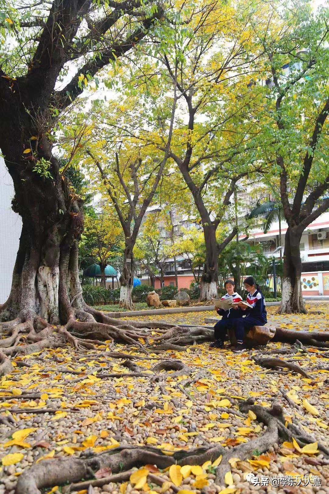 广州市第一中学2021高中招生简章,广州高中开放日