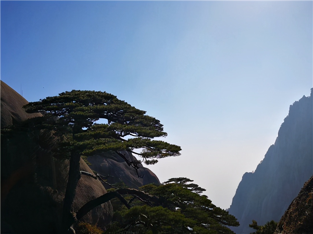 老年旅游团跑路,旅行社规避老年人风险