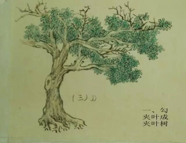 树的基本画法视频,树的素描画法